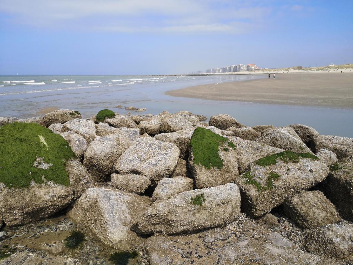 Westeinders Sea View Миделкерк Экстерьер фото